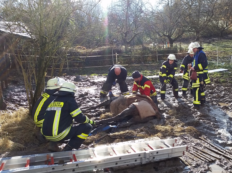 Bild "Einsatzberichte:010215_Technische_Hilfe_Pferd.jpg"