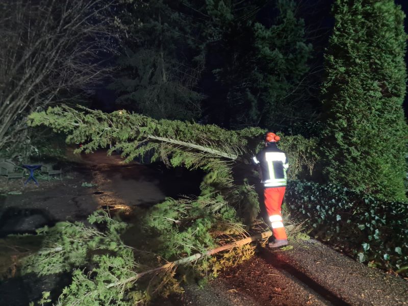 Bild "Einsatzberichte:20220221_Einsatz_Schaenzel.jpg"