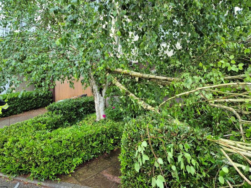 Bild "Einsatzberichte:20250531_Einsatz_Unwetter_FritzvonBriesen.jpg"