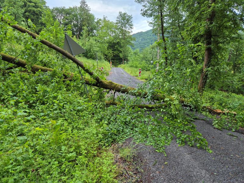 Bild "Einsatzberichte:20250531_Einsatz_Unwetter_Muehlwald.jpg"